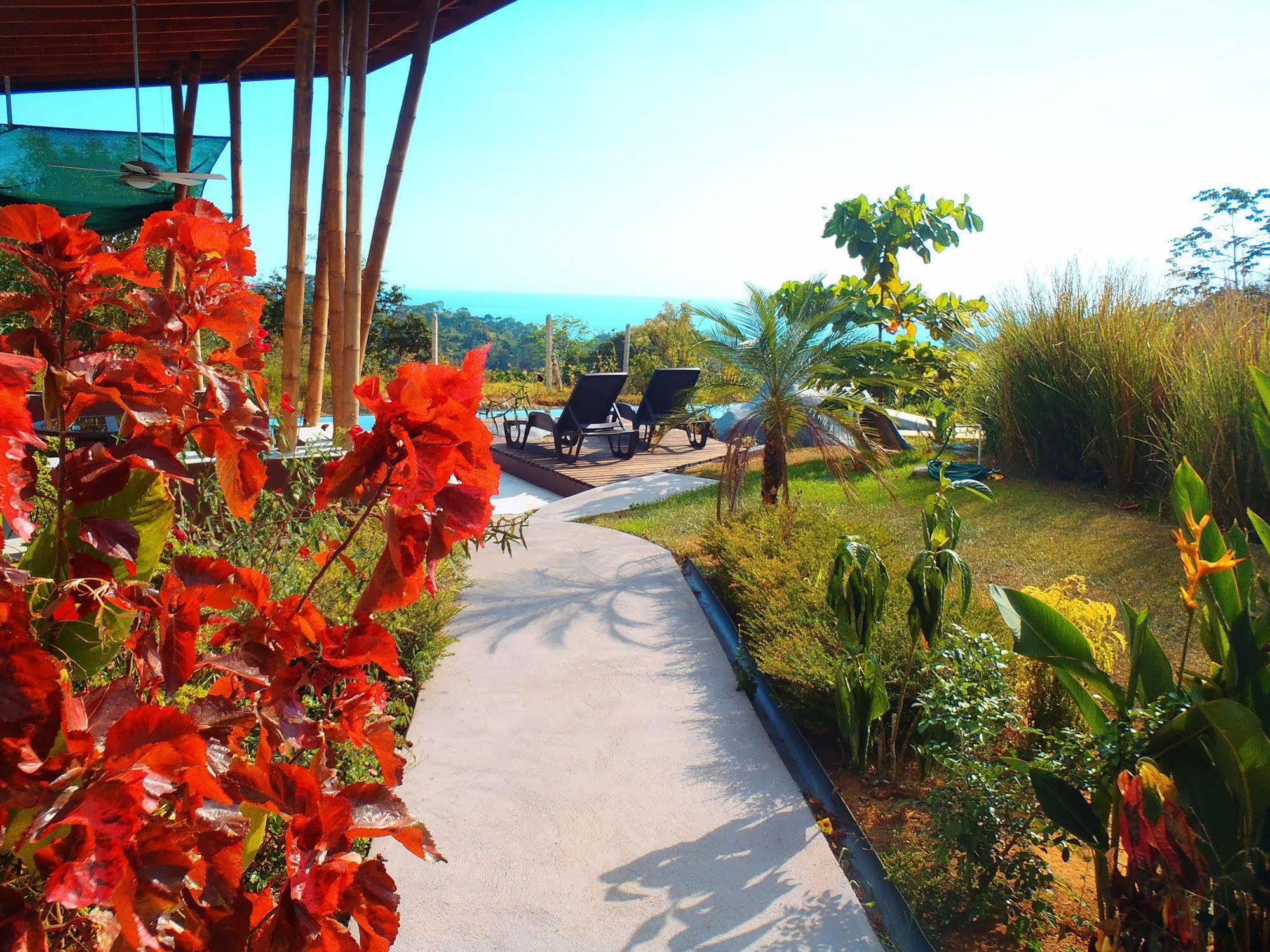 Eden Tica Lodge Uvita Exteriér fotografie