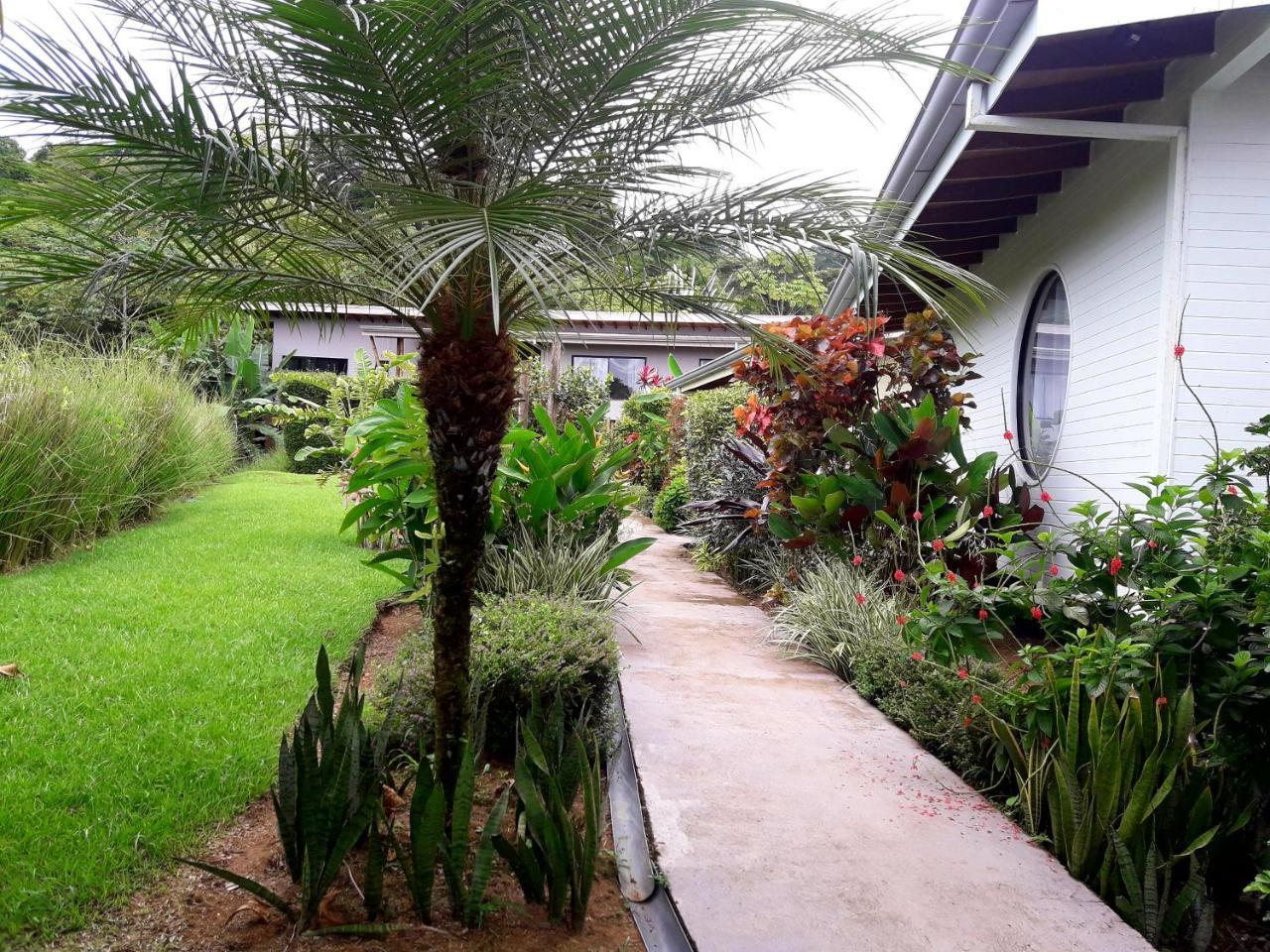 Eden Tica Lodge Uvita Exteriér fotografie