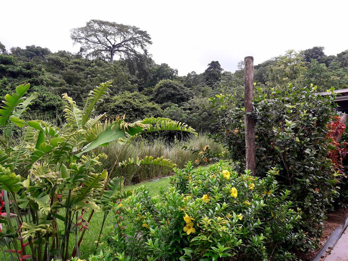 Eden Tica Lodge Uvita Exteriér fotografie