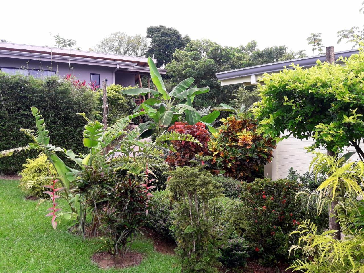 Eden Tica Lodge Uvita Exteriér fotografie
